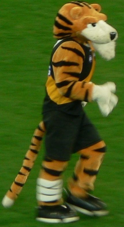 2007 Richmond Football Club season
