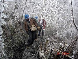 2008 Chinese winter storms httpsuploadwikimediaorgwikipediacommonsthu