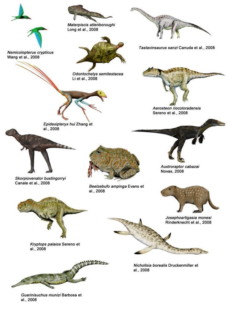 2008 in paleontology