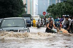 2008 Vietnam floods httpsuploadwikimediaorgwikipediacommonsthu
