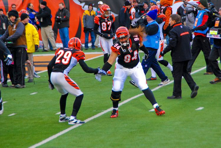 2009 Cincinnati Bengals season