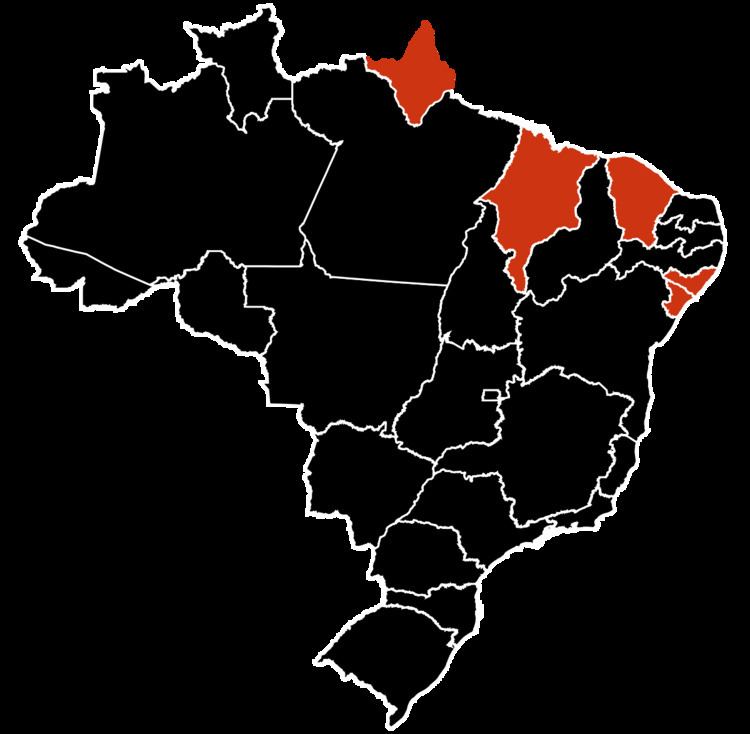 2009 flu pandemic in Brazil