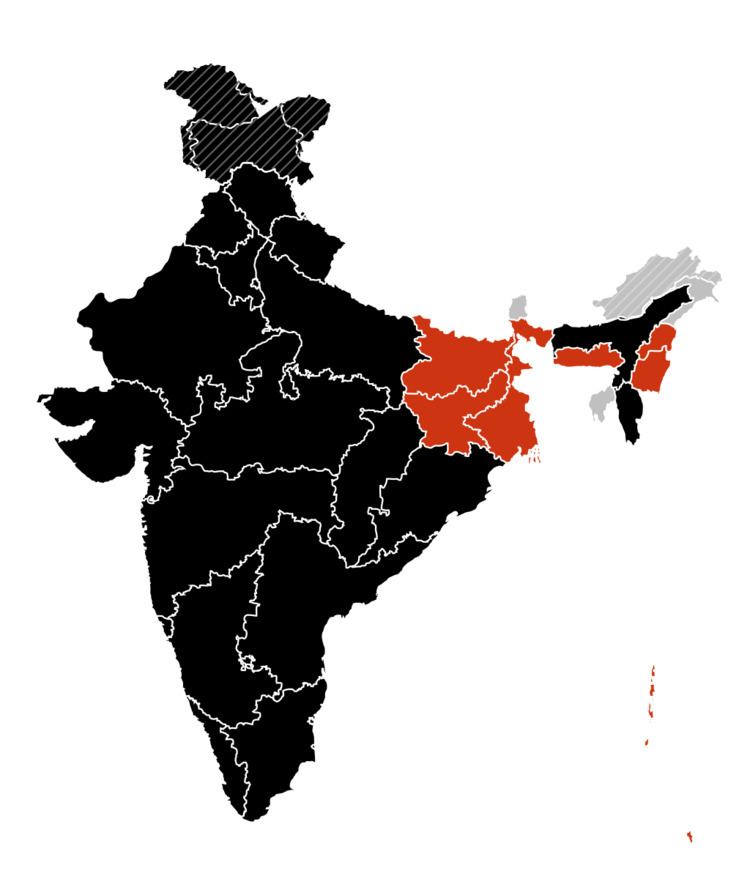 2009 flu pandemic in India
