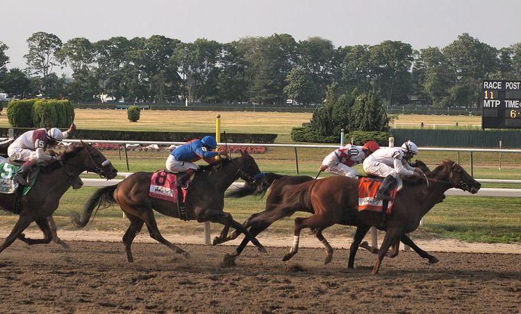 2010 Belmont Stakes