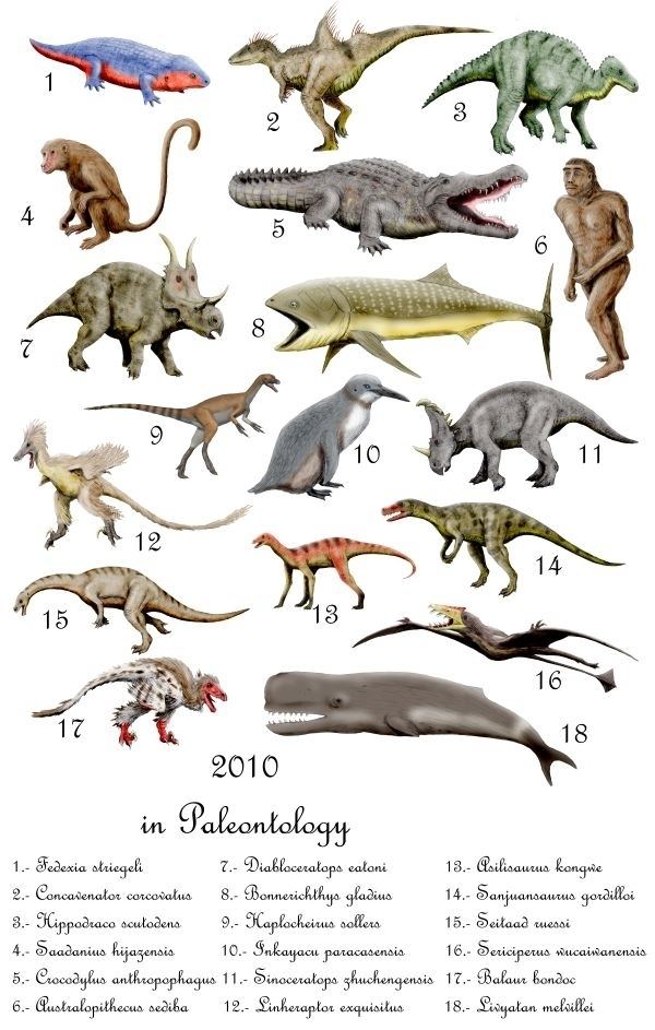 2010 in paleontology