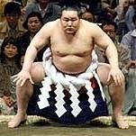 2010 in sumo