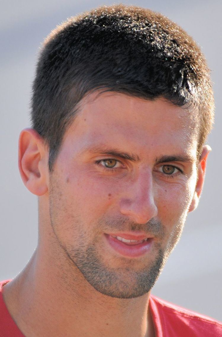 2010 Novak Djokovic tennis season