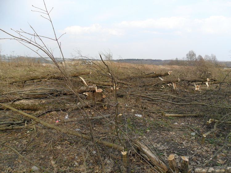 2010 Polish Air Force Tu-154 crash File2010 Polish Air Force Tu154 crash 011jpg Wikimedia Commons
