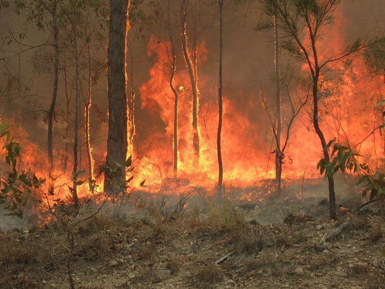 2010–11 Australian bushfire season