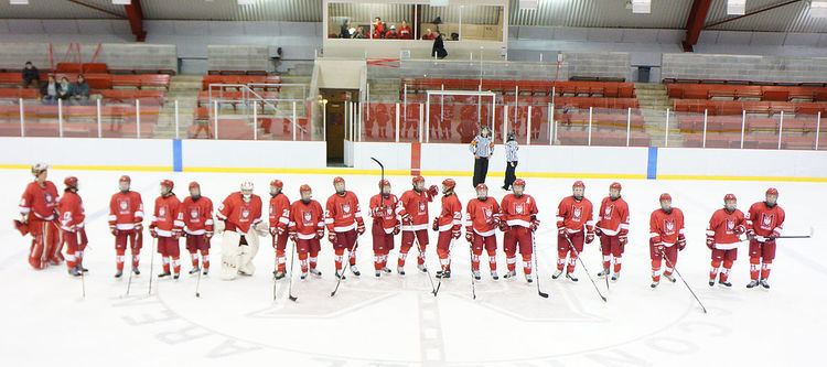 2010–11 McGill Martlets women's hockey season