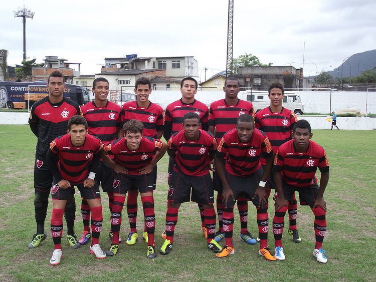 2011 Clube de Regatas do Flamengo season