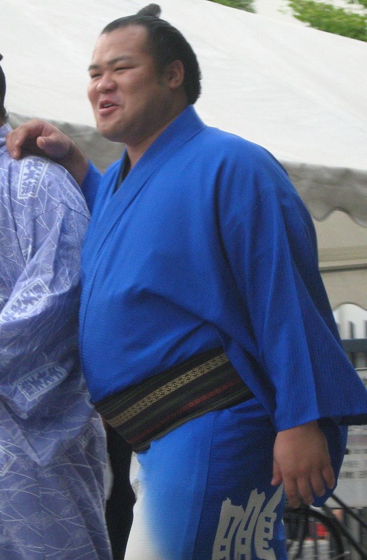 2011 in sumo