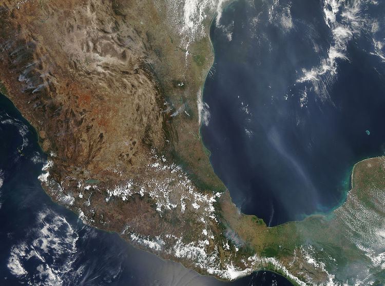 2011 Mexican fire season