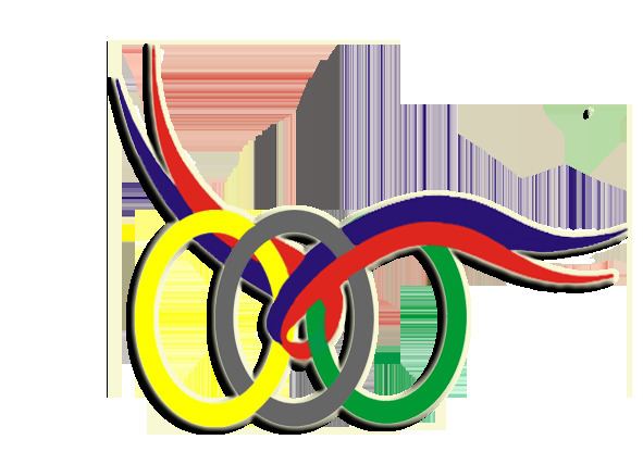 2011 Philippine National Games