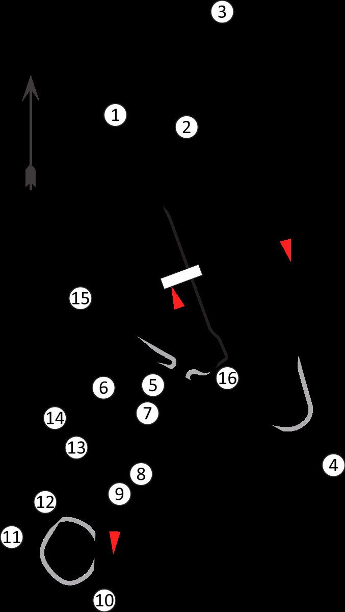 2012 Indian Grand Prix