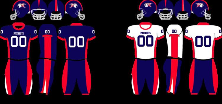 2012 Port Huron Patriots season