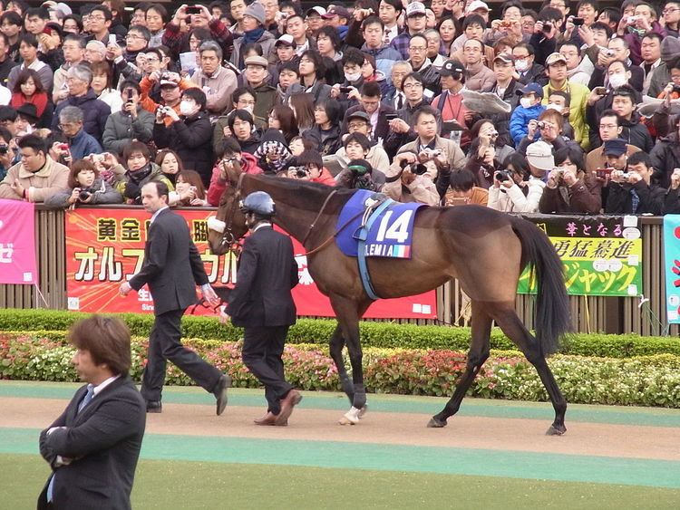 2012 Prix de l'Arc de Triomphe