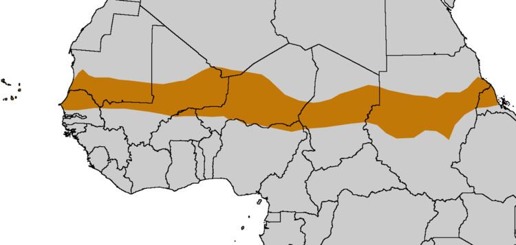 2012 Sahel drought