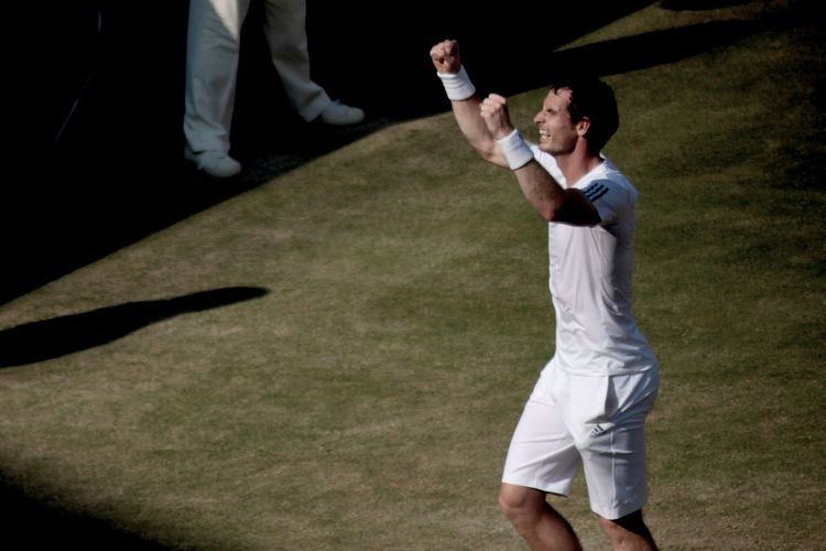 2013 Andy Murray tennis season