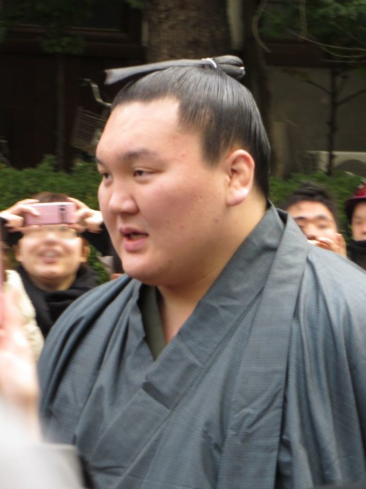 2013 in sumo