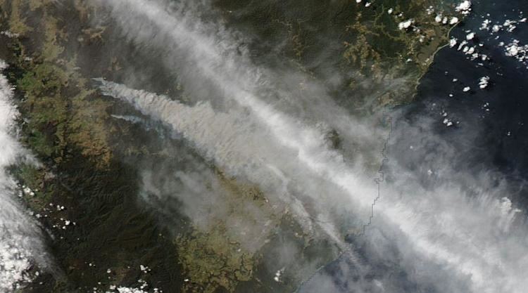 2013 New South Wales bushfires httpsuploadwikimediaorgwikipediacommonscc