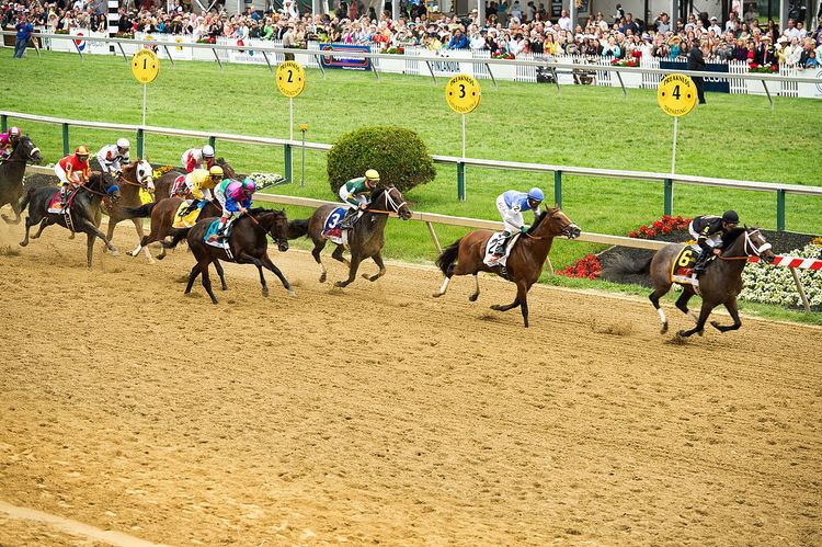 2013 Preakness Stakes