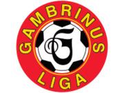 2013–14 Czech First League httpsuploadwikimediaorgwikipediafrthumb9