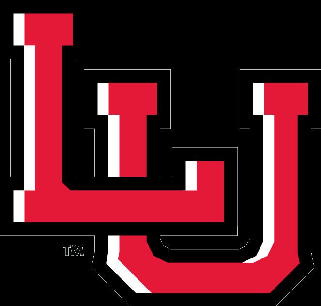 2013–14 Lamar Lady Cardinals basketball team