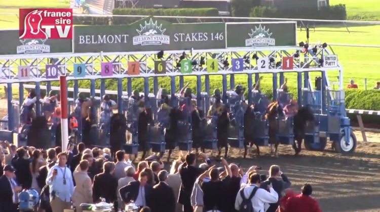 2014 Belmont Stakes