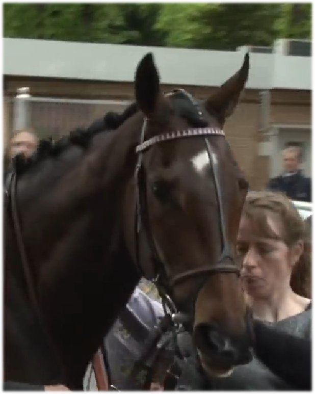 2014 Prix de l'Arc de Triomphe