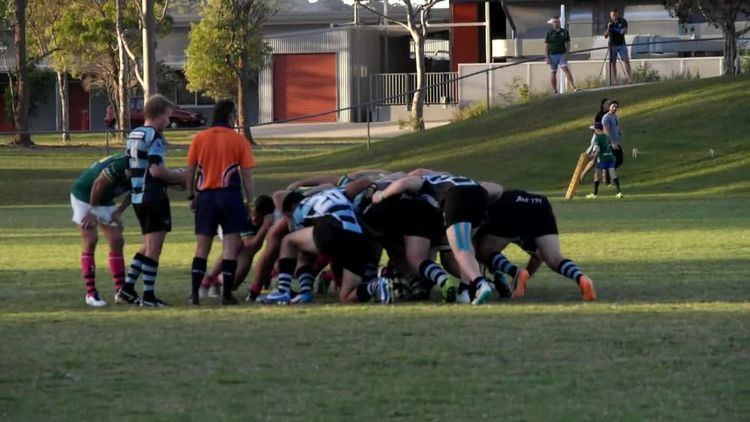 2014 Sunshine Coast Rugby Union season