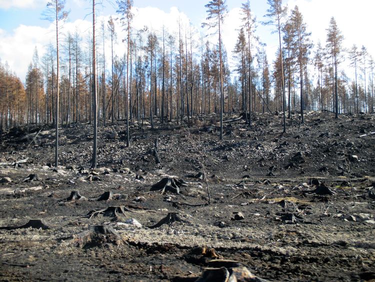 2014 Västmanland Wildfire FileSkogsbranden i Vstmanland 2014 Brandomrde utmed U668 mellan