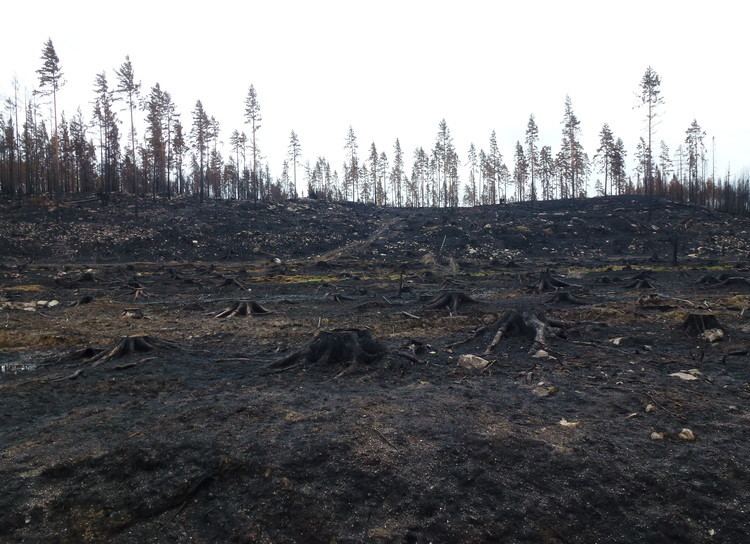 2014 Västmanland Wildfire FileSkogsbranden i Vstmanland HE 2014ejpg Wikimedia Commons
