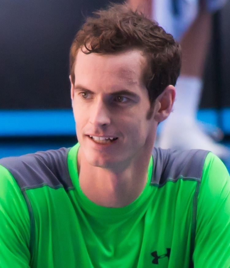 2015 Andy Murray tennis season