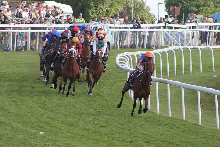 2015 Epsom Derby