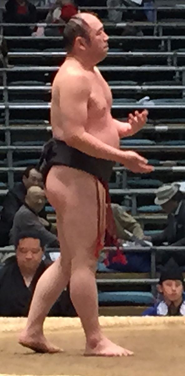 2015 in sumo