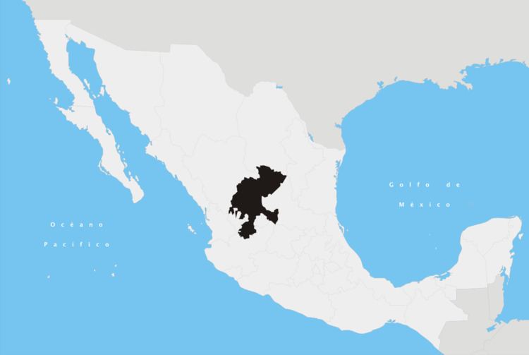 2015 Mexico road accident