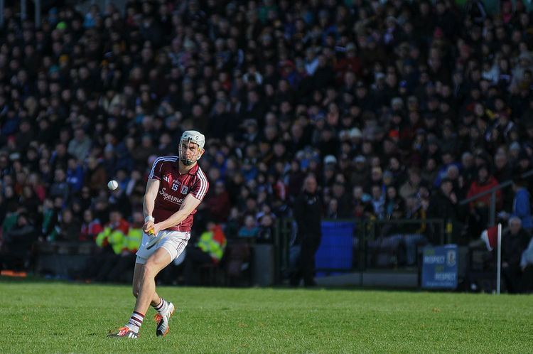 2015 National Hurling League