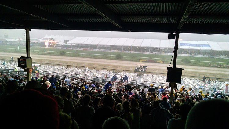 2015 Preakness Stakes