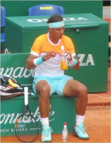 2015 Rafael Nadal tennis season