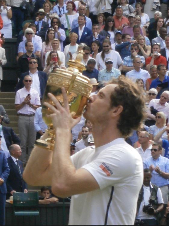 2016 Andy Murray tennis season