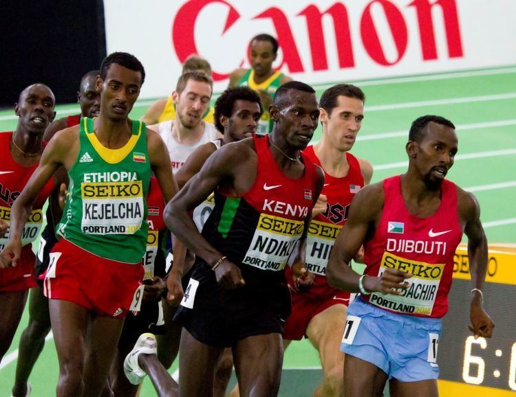2016 IAAF World Indoor Championships – Men's 3000 metres