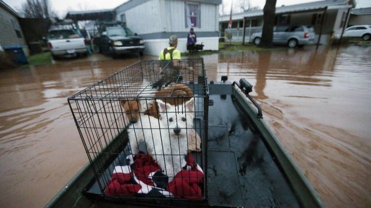 2016 Louisiana floods Flooding forces more than 1000 from homes in Louisiana Fox News