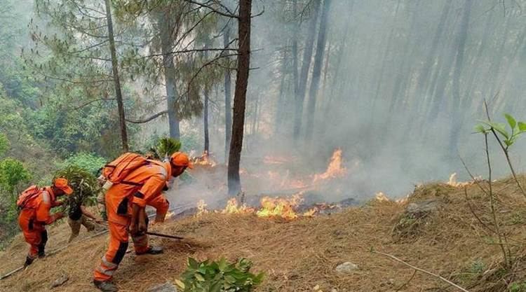 2016 Uttarakhand forest fires Fresh forest fires in Uttarakhand destroy 180 hectares of green