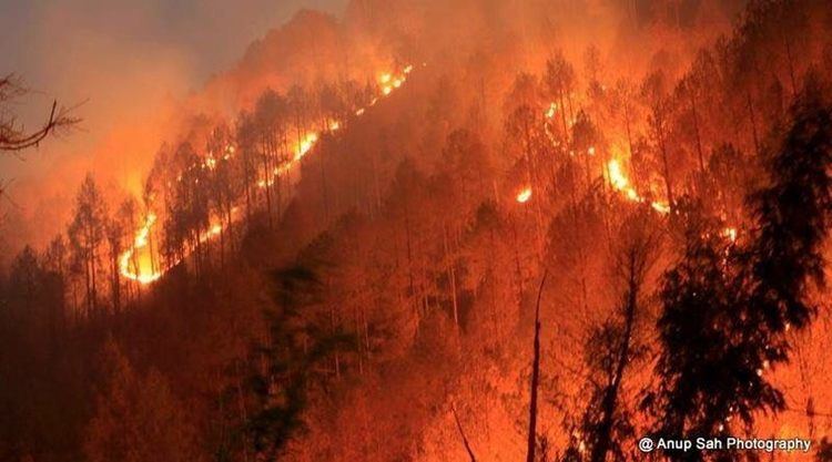 2016 Uttarakhand forest fires Uttarakhand forest fire IAF deploys Mi17 chopper to control blaze