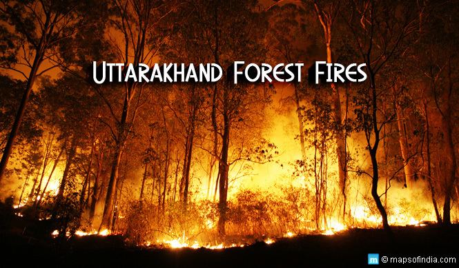 2016 Uttarakhand forest fires Uttarakhand Forest Fires Causes amp Facts You Should Know My India