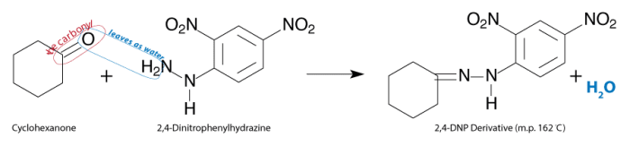 2-4-dinitrophenylhydrazine-alchetron-the-free-social-encyclopedia