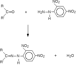 2,4-Dinitrophenylhydrazine additionelimination reactions of aldehydes and ketones