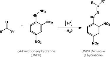 2,4-Dinitrophenylhydrazine organic chemistry Why doesn39t the Brady39s test 24DNPH work on