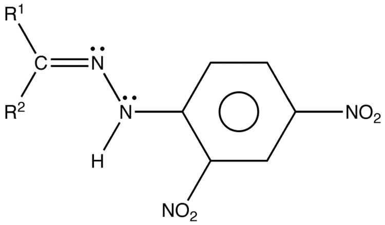 2,4-Dinitrophenylhydrazine 24Dinitrophenylhydrazone OChemPal